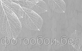 Фотообои Листья серебро