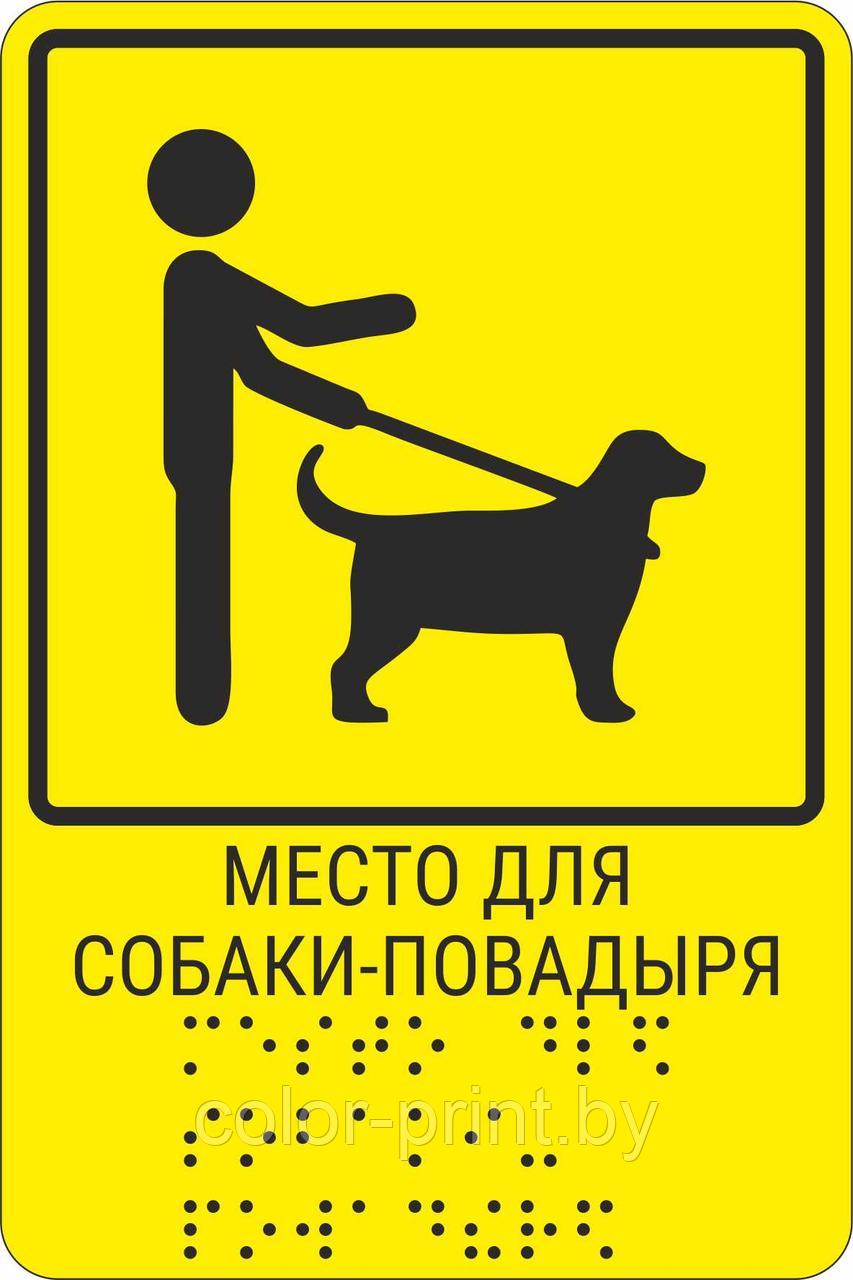 Тактильная пиктограмма с шрифтом Брайля  "Место для собаки-поводыря"