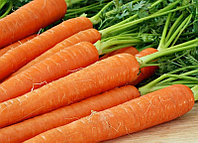 Морковные премудрости. Как вырастить хороший урожай.