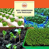 Удобрения для рассады.