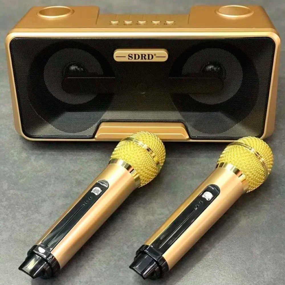Караоке система на 2 микрофона SDRD SD-301 - фото 6 - id-p163941828