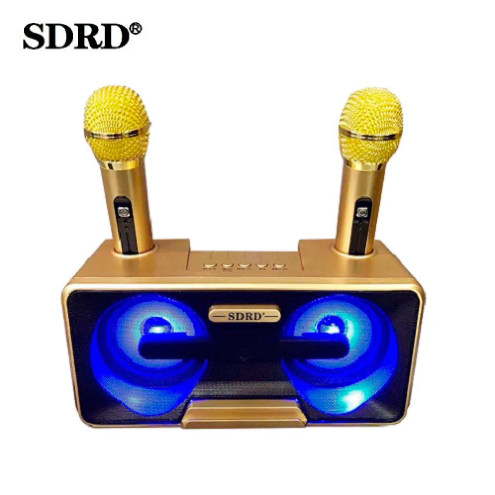 Караоке система на 2 микрофона SDRD SD-301 - фото 3 - id-p163941828