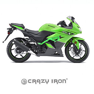 Защита RACE RAIL KAWASAKI Ninja 250R `08-`12 "CRAZY IRON"