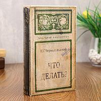 Книга сейф дерево "Что делать?" 21х13х5 см