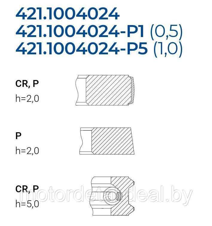 Поршневые кольца 421.1004024-Р1 - фото 2 - id-p70133340