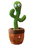 Игрушка-повторяшка Танцующий кактус / Dancing Cactus, фото 6