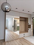 Прихожая с зеркальными дверями, фото 2