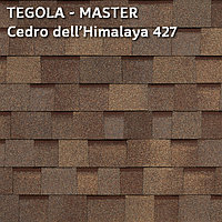 Битумная многослойная черепица TEGOLA, MASTER Cedro dell Himalaya 427