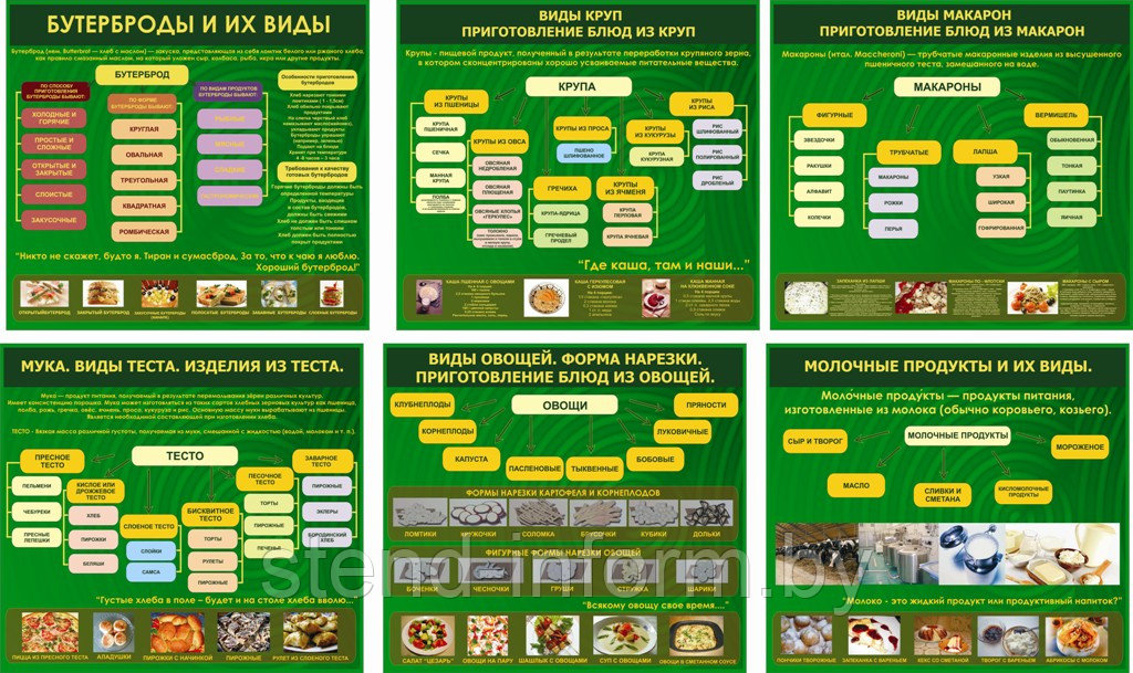 Стенды по технологии р-р 75*100 см 