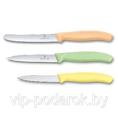 Набор ножей Victorinox 6.7116.34L2