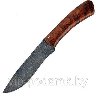 Туристический охотничий нож с фиксированным клинком 12.5 см AB/Buffalo R DAM.DES.IRON - фото 1 - id-p164517129