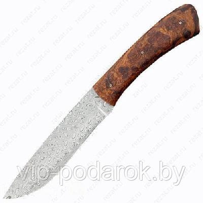 Туристический охотничий нож с фиксированным клинком 12.5 см AB/Buffalo R DAM/S DES.IR - фото 1 - id-p164517130