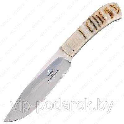 Туристический охотничий нож с фиксированным клинком 14 см AB/Elephant SHEEP HORN - фото 1 - id-p164517146