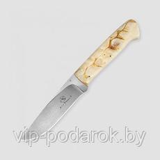 Туристический охотничий нож с фиксированным клинком Arno Bernard Croc (Крокодил) 10.8 см AB/Croc R SHEEP HORN