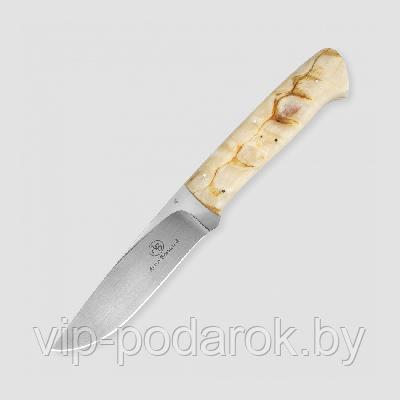 Туристический охотничий нож с фиксированным клинком Arno Bernard Croc (Крокодил) 10.8 см AB/Croc R SHEEP HORN - фото 1 - id-p164517191