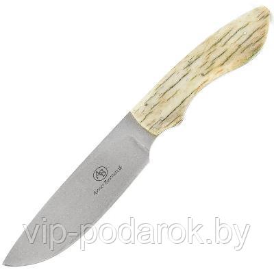 Туристический охотничий нож с фиксированным клинком Arno Bernard Lion 11.1 см AB/Lion R GIRAFFE BONE