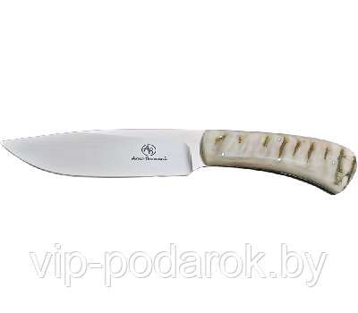 Туристический охотничий нож с фиксированным клинком Arno Bernard Leopard 11.3 см AB/Leopard SHEEP HORN