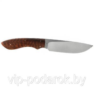 Туристический охотничий нож с фиксированным клинком Arno Bernard Lion 11.1 см AB/Lion R SNAKE WOOD
