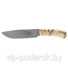 Туристический охотничий нож с фиксированным клинком Arno Bernard Lion 11.1 см AB/Lion R SHEEP HORN