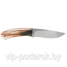 Туристический охотничий нож с фиксированным клинком Arno Bernard Fish Eagle 8.9 см AB/Fish Eagle GIRAFFE BON