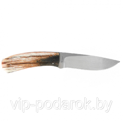 Туристический охотничий нож с фиксированным клинком Arno Bernard Fish Eagle 8.9 см AB/Fish Eagle GIRAFFE BON - фото 1 - id-p164517284