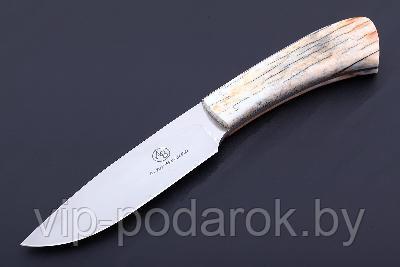 Туристический охотничий нож с фиксированным клинком Arno Bernard Leopard 11.3 см AB/Leopard GIRAFFE BONE