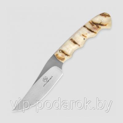 Туристический охотничий нож с фиксированным клинком Arno Bernard Sailfish 9.5 см AB/Sail Fish SHEEP HORN - фото 1 - id-p164517294