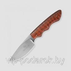 Туристический охотничий нож с фиксированным клинком Arno Bernard Great White 9.1 см, AB/Great White SNAKE WOOD