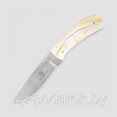 Туристический охотничий нож с фиксированным клинком Arno Bernard Fish Eagle 8.9 см AB/Fish Eagle WARTHOG TUS
