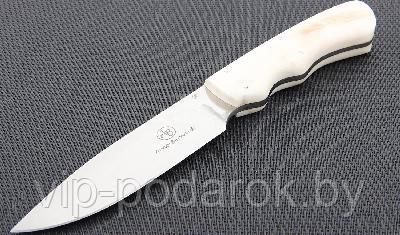 Туристический охотничий нож с фиксированным клинком Arno Bernard Cheetah 11.1 см AB/Cheetah R WARTHOG TUSK