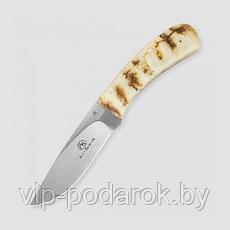 Туристический охотничий нож с фиксированным клинком Arno Bernard Fish Eagle 8.9 см AB/Fish Eagle SHEEP HORN