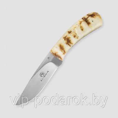 Туристический охотничий нож с фиксированным клинком Arno Bernard Fish Eagle 8.9 см AB/Fish Eagle SHEEP HORN - фото 1 - id-p164517307
