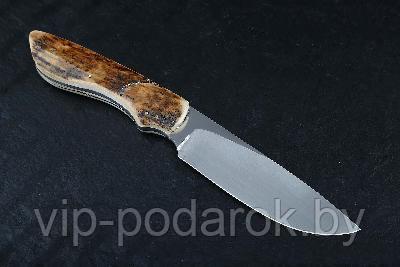 Туристический охотничий нож с фиксированным клинком Arno Bernard Lion 11.1 см AB/Lion R MAMMOTH TUSK - фото 1 - id-p164517309