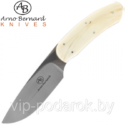 Туристический охотничий нож с фиксированным клинком Arno Bernard Impala 9.9 см AB/Impala WARTHOG TUSK