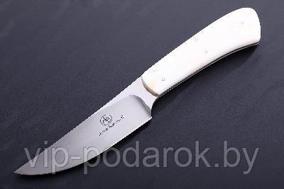 Туристический охотничий нож с фиксированным клинком Arno Bernard Springbok 10.1 см AB/Springbok WARTHOG TUSK - фото 1 - id-p164517317