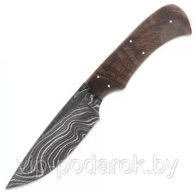 Туристический охотничий нож с фиксированным клинком Arno Bernard Nyala Limited 9.2 см AB/Nyala - фото 1 - id-p164517320