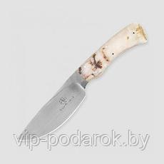 Туристический охотничий нож с фиксированным клинком Arno Bernard Warthog 10.5 см AB/Warthog SHEEP HORN