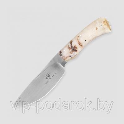 Туристический охотничий нож с фиксированным клинком Arno Bernard Warthog 10.5 см AB/Warthog SHEEP HORN - фото 1 - id-p164517323