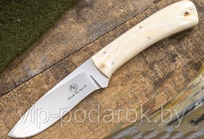 Туристический охотничий нож с фиксированным клинком Arno Bernard Kudu 9.6 см AB/Kudu R WARTHOG TUSK - фото 1 - id-p164517324