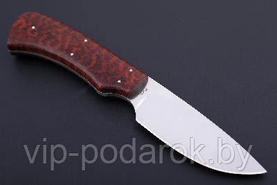 Туристический охотничий нож с фиксированным клинком Arno Bernard Nyala 9.2 см AB/Nyala SNAKE WOOD
