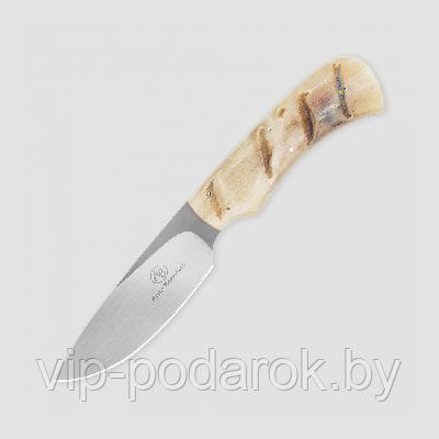 Туристический охотничий нож с фиксированным клинком Arno Bernard Nyala 9.2 см AB/Nyala SHEEP HORN