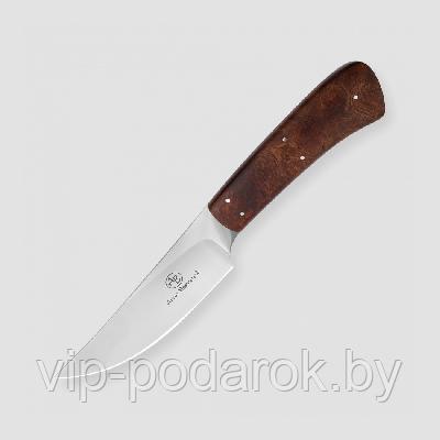 Туристический охотничий нож с фиксированным клинком Arno Bernard Springbok 10.1 см AB/Springbok DESERT IRONW