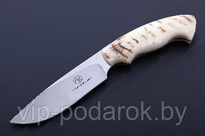 Туристический охотничий нож с фиксированным клинком Arno Bernard Oryx, Gemsbuck 9.8 см, AB/Oryx (Gemsbuck)