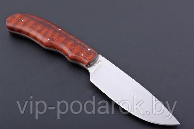 Туристический охотничий нож с фиксированным клинком Arno Bernard Blesbuck 10.1 см AB/Blesbuck SNAKE WOOD