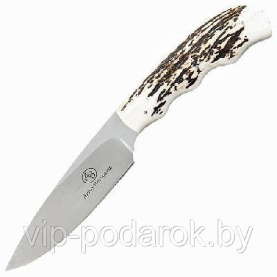 Туристический охотничий нож с фиксированным клинком Arno Bernard Eland 10.5 см AB/Eland SAMBAR STAG