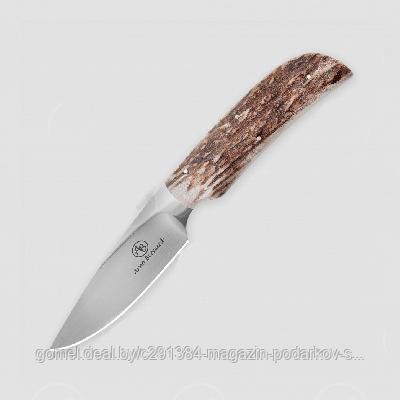 Туристический охотничий нож с фиксированным клинком Arno Bernard Wild dog 9.5 см AB/Wild dog SAMBAR STAG