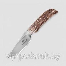 Туристический охотничий нож с фиксированным клинком Arno Bernard Wild dog 9.5 см AB/Wild dog SAMBAR STAG