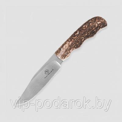 Туристический охотничий нож с фиксированным клинком Arno Bernard Vulture 9.2 см AB/Vulture SAMBAR STAG - фото 1 - id-p164517359