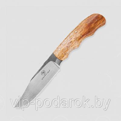 Туристический охотничий нож с фиксированным клинком Arno Bernard Vulture 9.2 см AB/Vulture GIRAFFE BONE