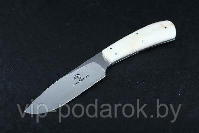 Туристический охотничий нож с фиксированным клинком Arno Bernard Hyena 9.3 см AB/Hyena WARTHOG TUSK